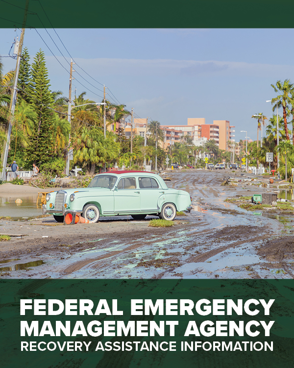 Federal Emergency Management Agency